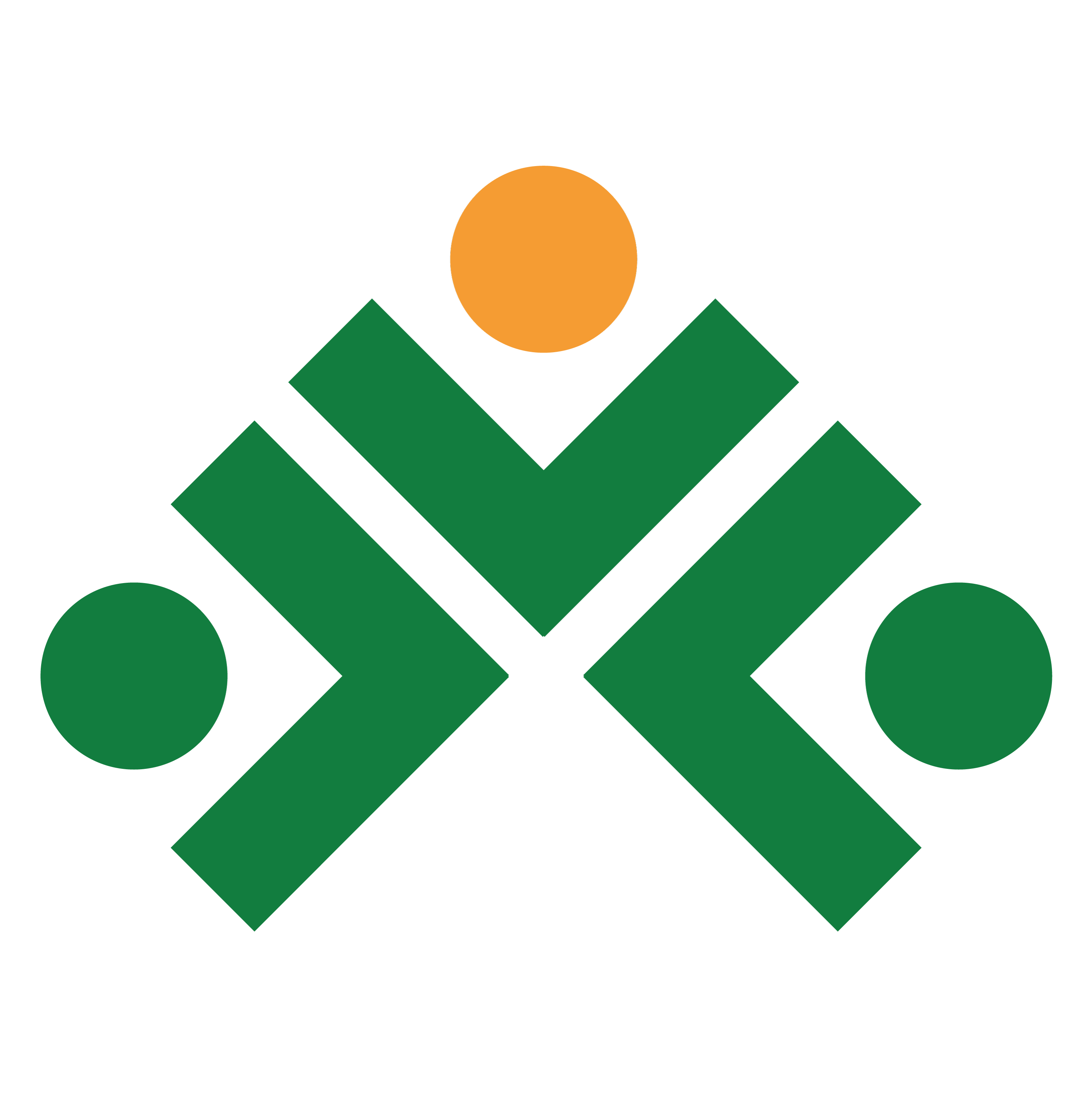 Stern Abasi Group